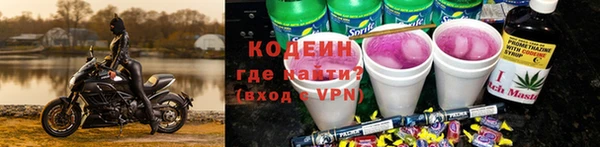 хмурый Арсеньев