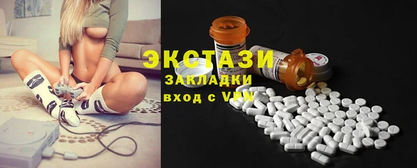 хмурый Арсеньев