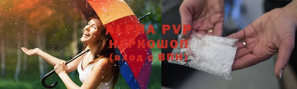 хмурый Арсеньев