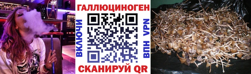 как найти   OMG ссылка  Псилоцибиновые грибы MAGIC MUSHROOMS  Краснослободск 