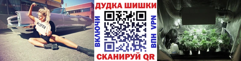 Шишки марихуана конопля мега зеркало Краснослободск хочу наркоту